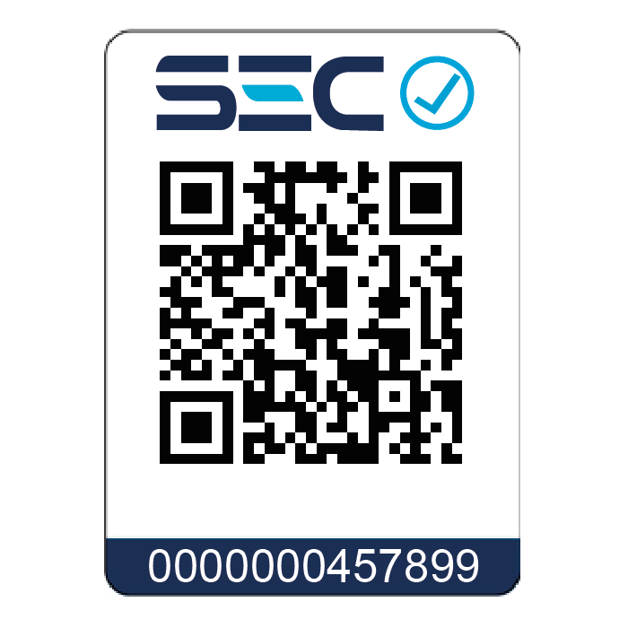 Cepillo Secador New Turbo 2300